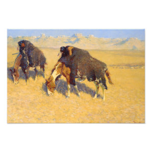 Frederic Remington - Indians Simulating Buffalo Photo Print