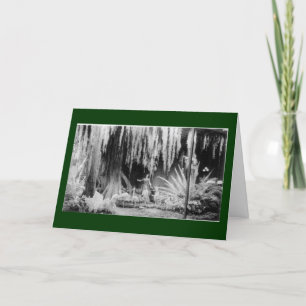 Frederick & Nelson Christmas Window - Customized Holiday Card