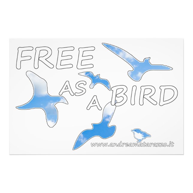 Free as a Bird  Photo Print (Front)