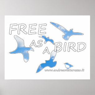 Free as a Bird  Poster