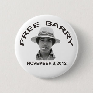 FREE BARRY Button
