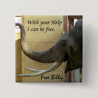 Free Billy-The Elephabt_ Button