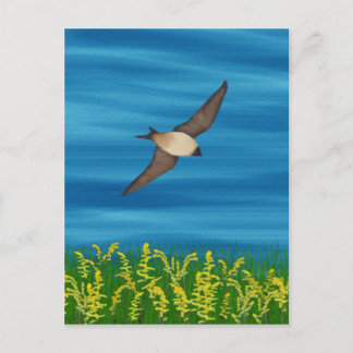 FREE BIRD POSTCARD
