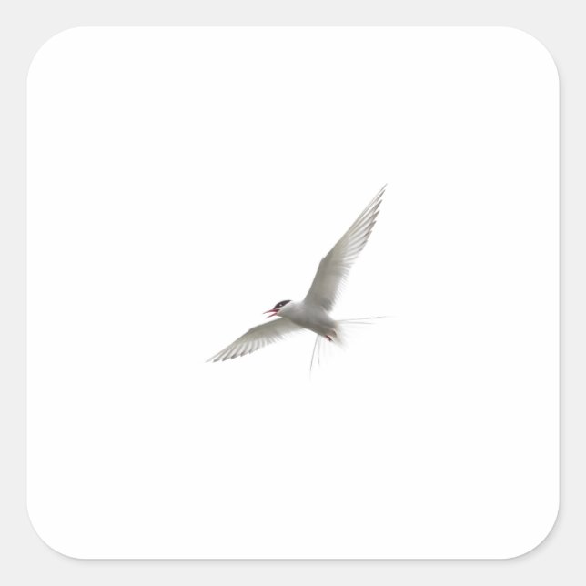 FREE BIRD SQUARE STICKER (Front)