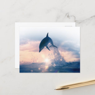 Free Dolphin Postcard