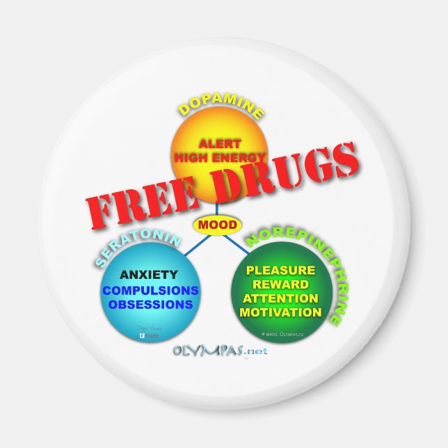 Free Drugs in the Brain Magnet (Front)