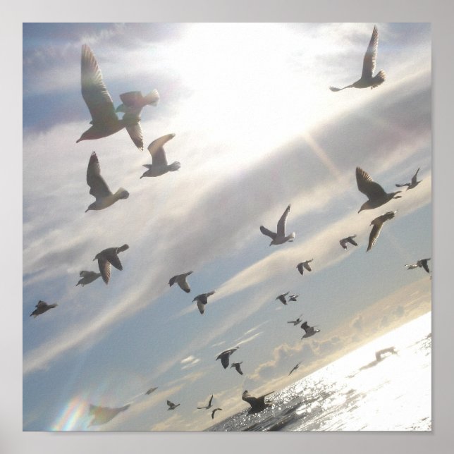 Free Flying Poster (Front)