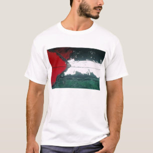 FREE GAZA! T-Shirt