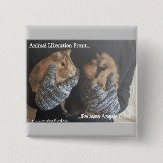 Free Guinea Pigs 2 Inch Square Button