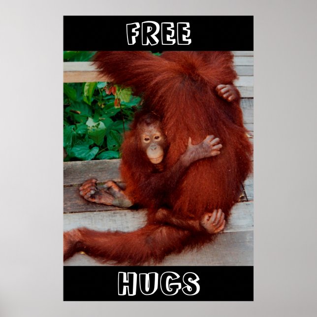 Free Hugs Borneo orangutan Poster (Front)