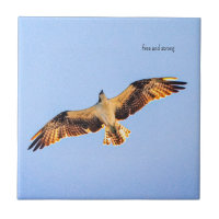 Free Osprey art