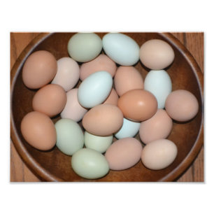 Free Range Egg Photo Print