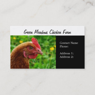 Free Range Eggs Hen  Business Cards