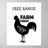 Free Range Farm Fresh Eggs