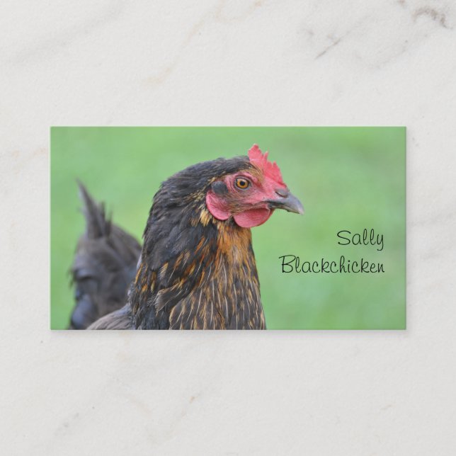 Free range hen and egg photo business card (Front)