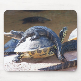 Free Ride Mouse Pad