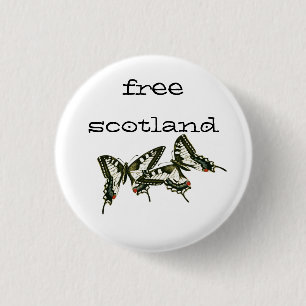 Free Scotland Swallowtail Butterflies Pinback 1 Inch Round Button