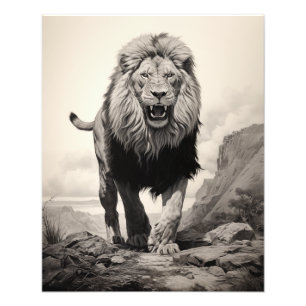 Free Spirit Lion Black and White Photo Print