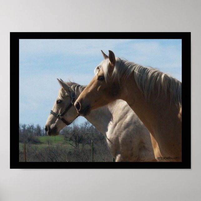 Free Spirit, Poster de l'amant du cheval - Grand (Devant)