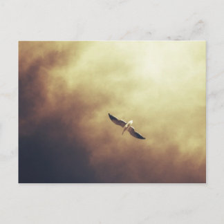 "Free Spirit" South African Wildlife Postcard