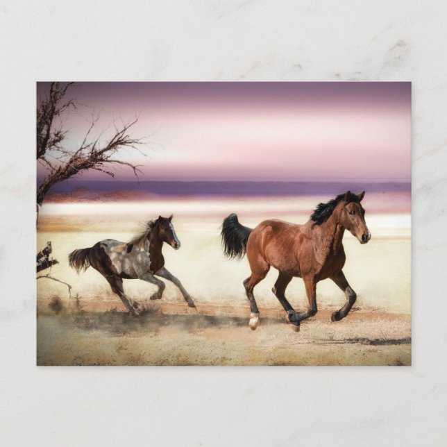 FREE TO BE WILD RUNNING HORSES POSTCARD (Front)