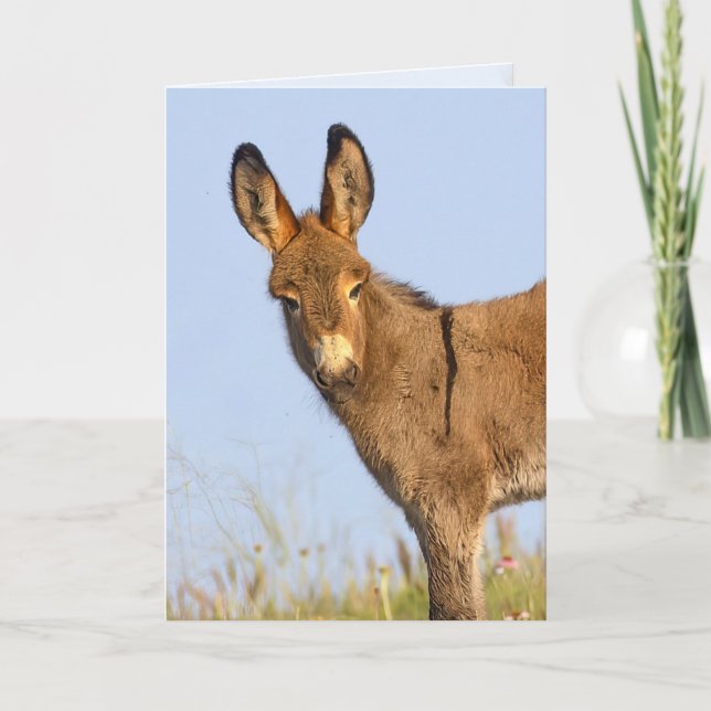 "Free to Roam" - Greeting Card (Front)