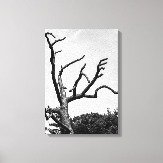 free tree canvas print (Front)