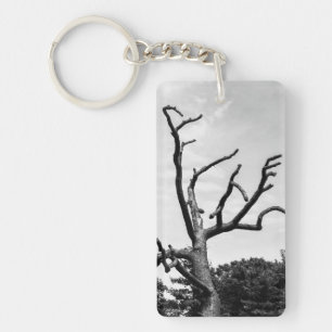 free tree keychain