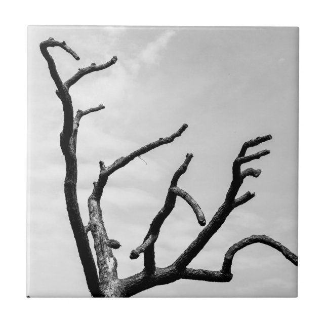 free tree tile (Front)