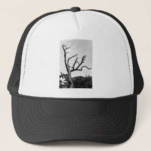 free tree trucker hat
