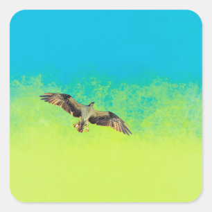 Free Ukraine Square Sticker