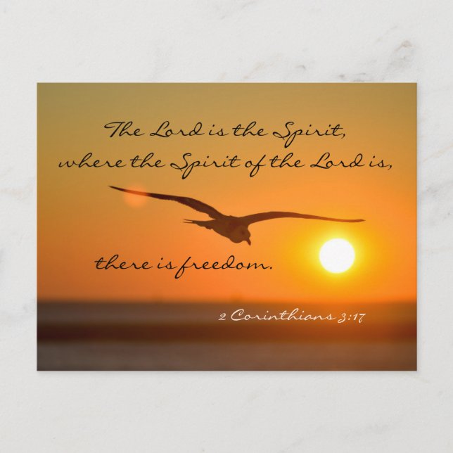 Freedom Bible Verse, Bird Flying at Sunset Custom Postcard (Front)
