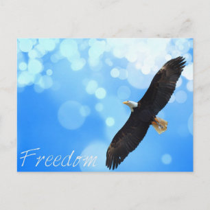 Freedom eagle flying in the sky postcard