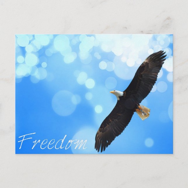 Freedom eagle flying in the sky postcard (Front)