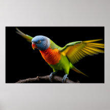 🌈 Freedom Flight Lorikeet - Dynamic Rainbow