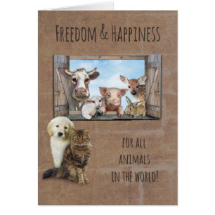 Freedom & Happiness for all Animals in the World