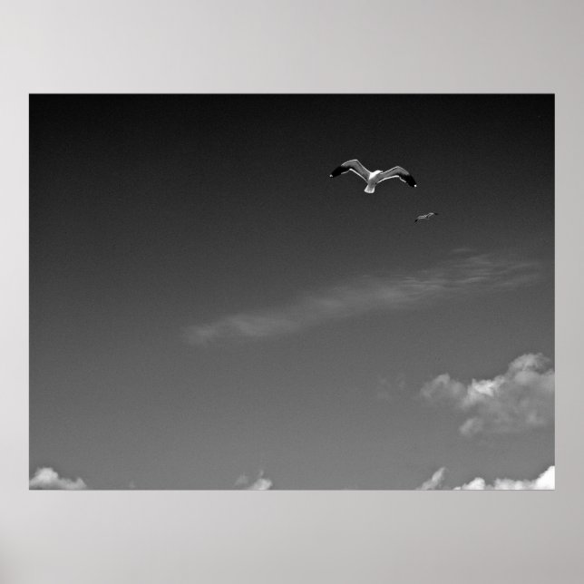 Freedom in BW Poster (Front)