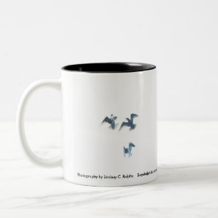 Freedom in flight mug