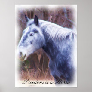 Freedom is a horse poster