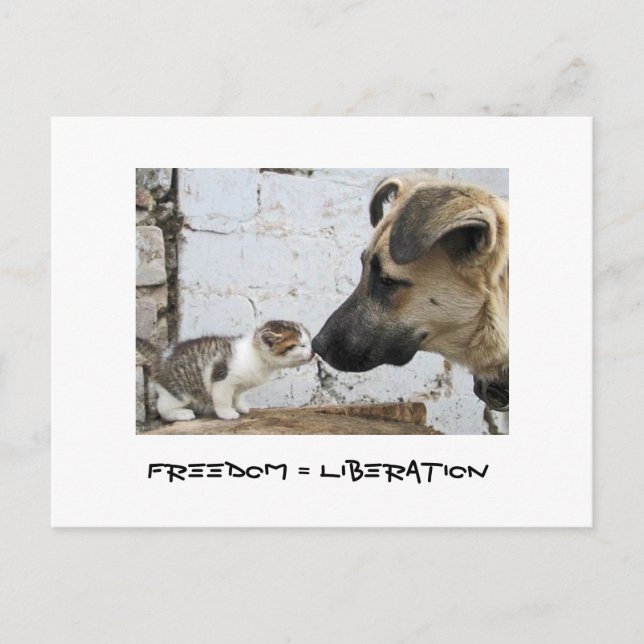 Freedom = Liberation Postcard (Front)