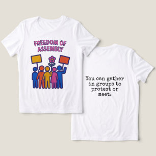 Freedom of Assembly: Stand Together, Rise Together Tri-Blend Shirt