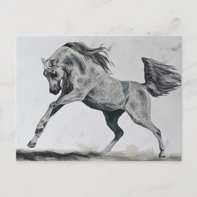 Freedom of Spirit Postcard (Front)