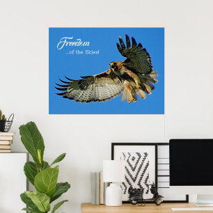 Freedom of the Skies Red-tailed Hawk Poster