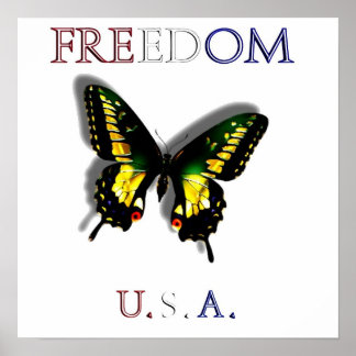 Freedom Poster