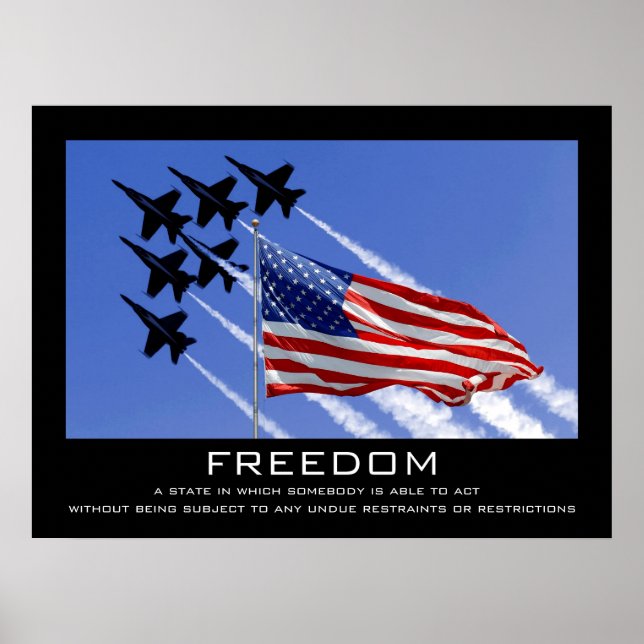 Freedom Poster (Front)