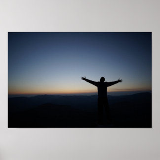 Freedom Poster Print