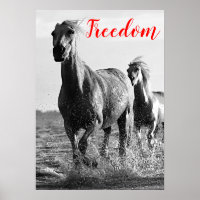 Freedom Red Black White Running Horses