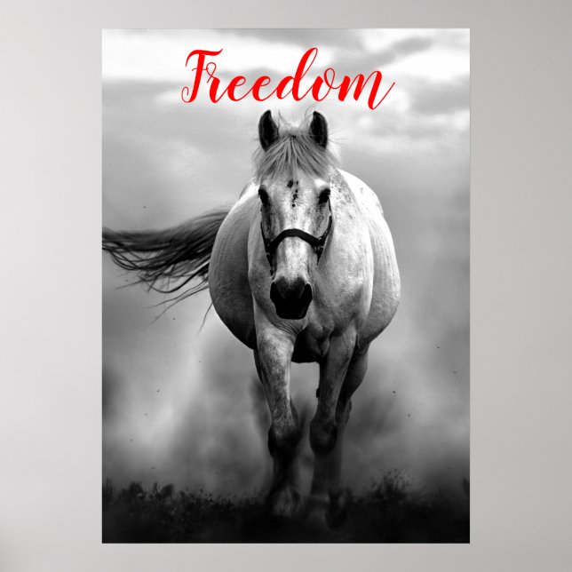 Freedom Red Black White Running Horses Poster (Front)