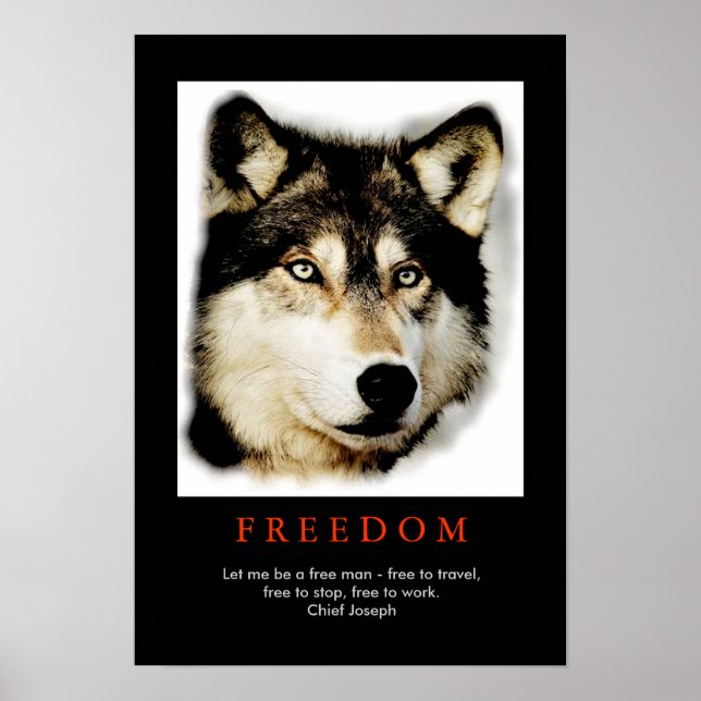 Freedom Spirit Motivational Wolf Eyes Poster (Front)