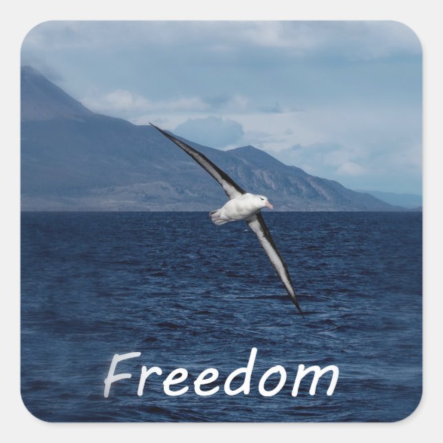Freedom to wander the ocean square sticker (Front)